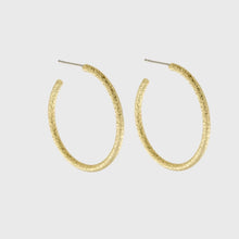 Load image into Gallery viewer, Dansk Audrey Glow Hoop Earring Gold Plating