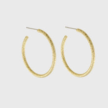 Load image into Gallery viewer, Dansk Audrey Glow Hoop Earring Gold Plating
