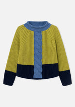 Load image into Gallery viewer, Dr. Bloom Braid front knit Verde
