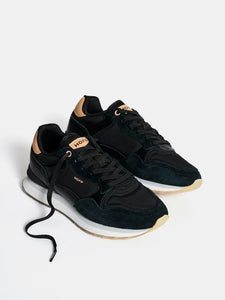 HOFF City trainer New York