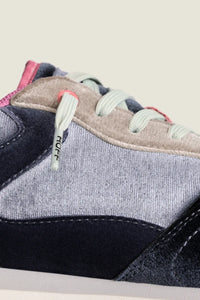 HOFF City trainer Sapphire
