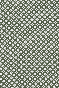 Ichi Halona geometric print a-line midi skirt in Dark green - CW CW 